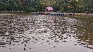 Форель в обеденное время на бомбарду, Верхний пруд. Клёвое место Лосиный остров.