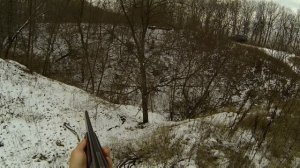 Охота с ягдтерьером, выгон матёрого лиса.Fox Hunt with Jagdterrier