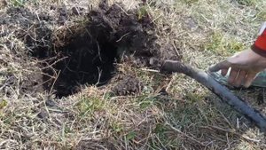 Коп металла 2024