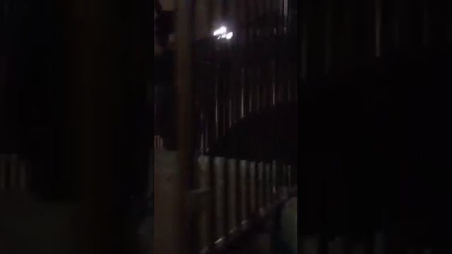 Alana Mamaeva   Алана смотреть онлайн