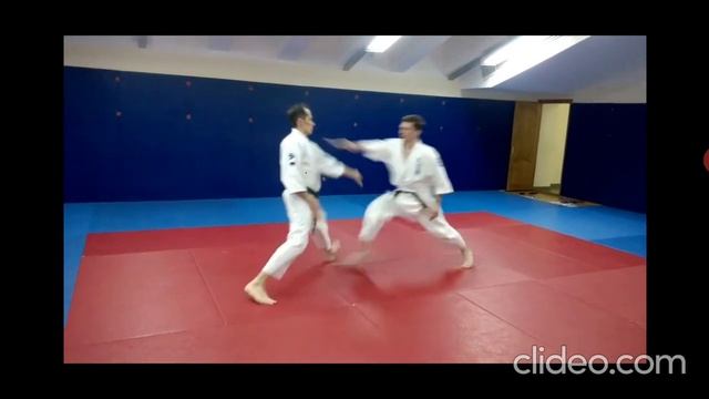 Базовые техники Томики – 47 часть – Танто Дори 5 – Корю Дай Сан смотреть онлайн