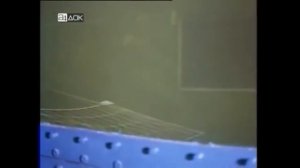 ЗДРАВСТВУЙ, МОЙ РОДНОЙ КАЛИНИНГРАД