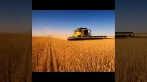 И.Растеряев камбайнеры