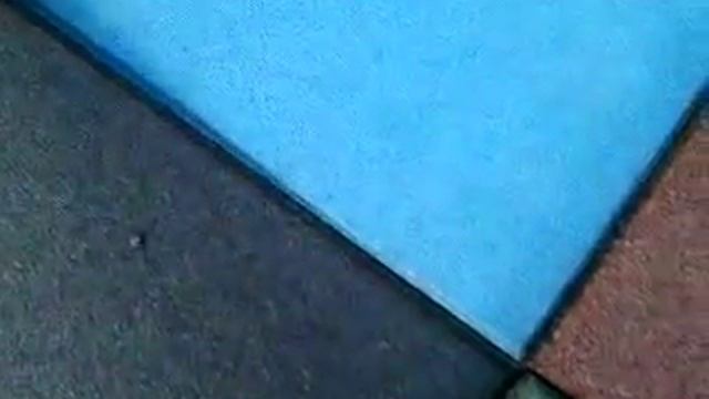 Резиновая тротуарная плитка в Молдове смотреть онлайн