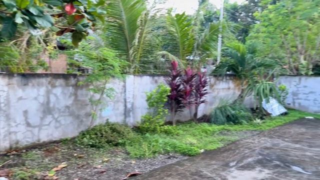 Цены на рынке | Обзор жилья | Распаковка шкафа с Лазады | Итальянский ресторан | Филиппины | Пангла смотреть онлайн