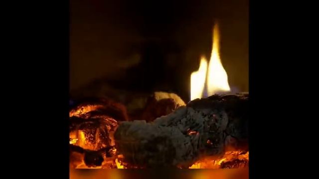 Мистические истории (озвучка) #мистика  #историиизжизни #страшныеистории #историинаночь #403
