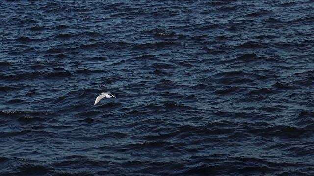 В Петербурге выходные. 28 августа 2021г. смотреть онлайн