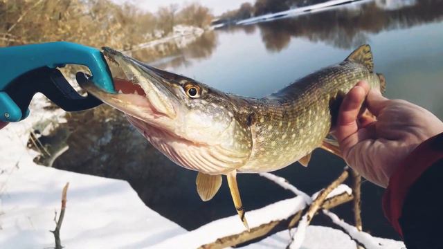 Pike hunting смотреть онлайн