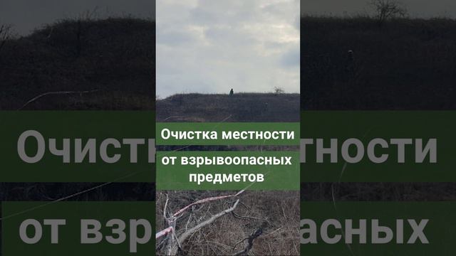 Очистка местности от взрывоопасных предметов в ЛНР