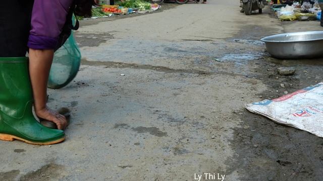 Country Life Vlog: Harvesting Straw Mushrooms to sell at the market - Cook | Ly Thi Ly смотреть онлайн