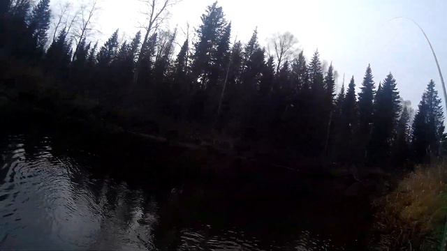 Хариус на херабуну смотреть онлайн