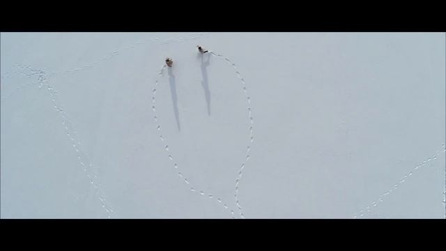 А. Чурина "Сердечные пиксели"