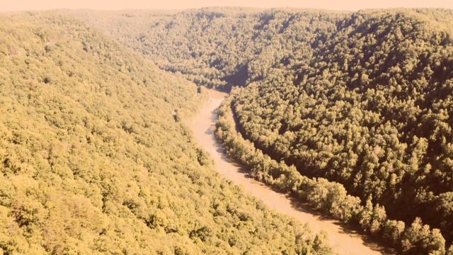 Relaxing Music Online - Focus Piano смотреть онлайн