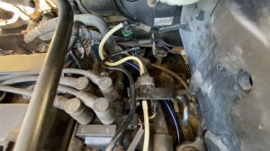 Шланги радиатора Форд бензин 1.6