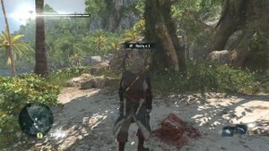 Assassin's Creed IV  Black Flag как честно заработать много денег  ( на шкурах )