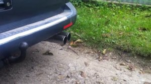 Глушитель REMUS