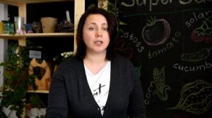 Болезни и вредители смородины и крыжовника