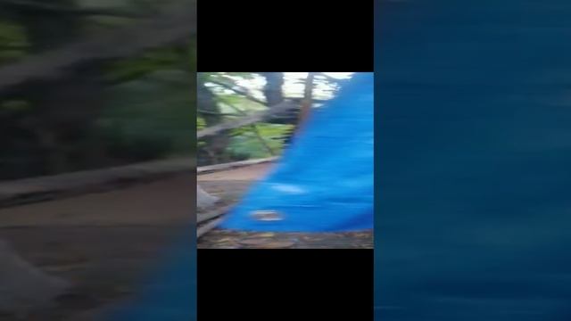 ШОК!!! НОВОСТИ от Артёма!! смотреть онлайн