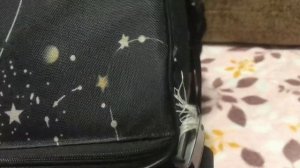 Что нужно для хорька?  Вещи,которые нужно купить, до появления хорька в доме!!!