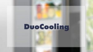 Холодильная техника Liebherr: отличительные черты и технологии