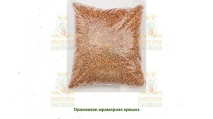 Мраморная крошка, крашенная, оранжевая, фракция 5-10мм, 10кг обзор 1711