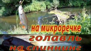Голавля много, но не подобраться. Ловля голавля спиннингом на микро-речке.