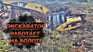 Экскаватор CAT 320 D, Работает на болоте (Excavator CAT 320 D Powered by a Swamp )