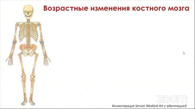 Как предотвратить болезни и замедлить процесс старения. Открытия ученых, уникальный продукт