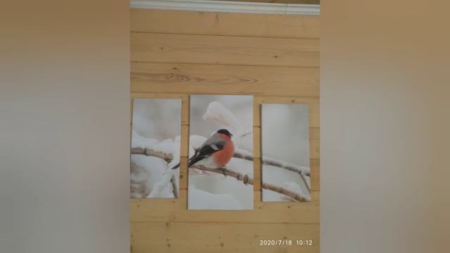 Стилизация дачи под тему СНЕГИРИ смотреть онлайн