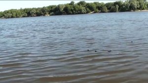 Техника и тактика ловли на маховую удочку!!!