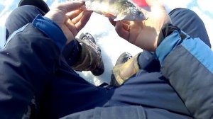 Рыбалка в Бурятии озеро Торма))))