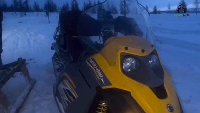 Дикая поклевка гольца. Рыбалка в Себяне. Октябрь 2023г смотреть онлайн