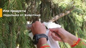 Лайфхаки туристов