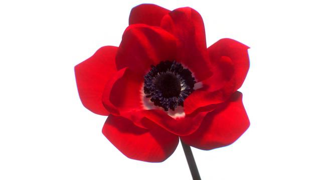 [TEASER : 신세계의 봄] смотреть онлайн