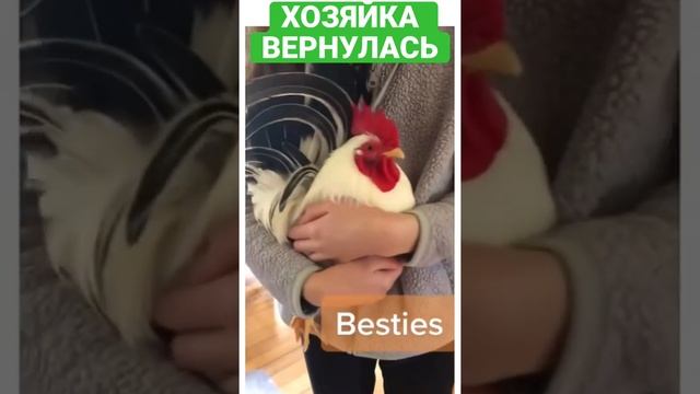 КАК БЕЗРАБОТНЫЙ МУЖ ВСТРЕЧАЕТ ЖЕНУ В ДЕНЬ ЗАРПЛАТЫ)) #Shorts #TikTok