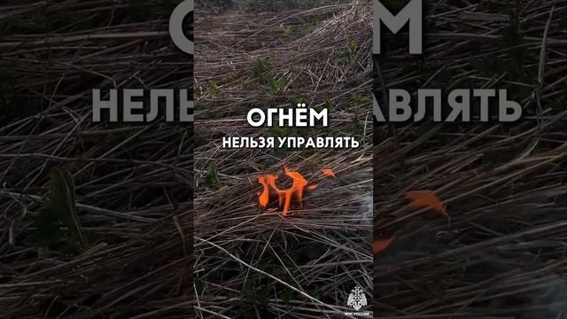 Останови огонь - не поджигай траву ❗