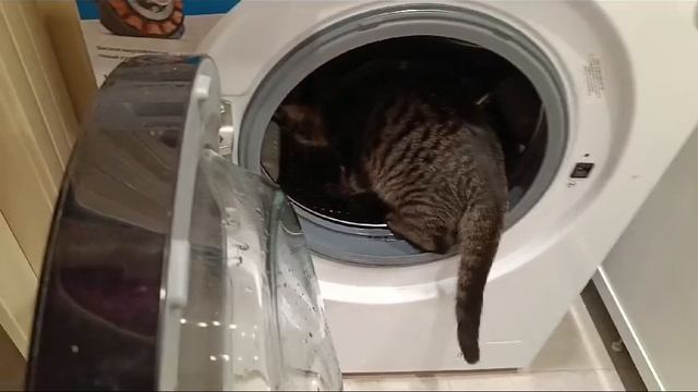 Мастер Наладчик
