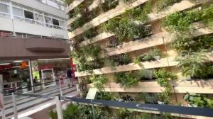 Как можно посадить дома для себя  прованские травы