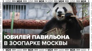 Московский зоопарк отметил юбилей павильона "Фауна Китая" - Москва 24