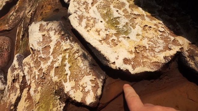 Посетите мой канал... смотреть онлайн