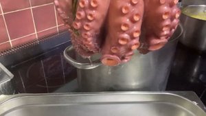 OCTOPUS ??? как сварить осьминога. Нежнейший и очень вкусный?????