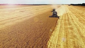 Уборка урожая. Краснодарский край