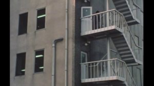 太陽にほえろ! 第268話 偶然