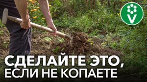 ОГОРОД БЕЗ ПЕРЕКОПКИ: обязательно сделайте это, если не копаете грядки осенью