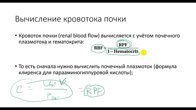 Дополнение. Скорость клубочковой фильтрации. Почечный кровоток. Клиренс