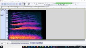 Minecraft Cave Sounds on a Spectrogram