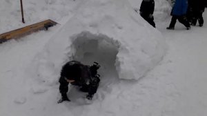 Зимние развлечения