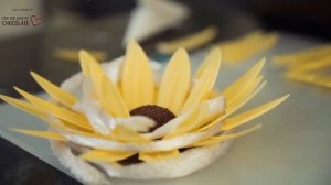 How to decorate chocolate cakes and Entremets with chocolate flowers