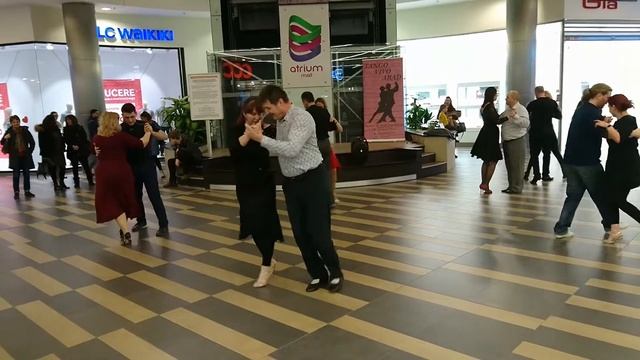 TangoVivo Arad @ Atrium Mall | Francisco Canaro canta Roberto Maida - Milonga Brava смотреть онлайн
