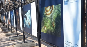 12 апреля в Бабушкинском парке были представлены картины Алексея Леонова и Владимира Джанибекова.